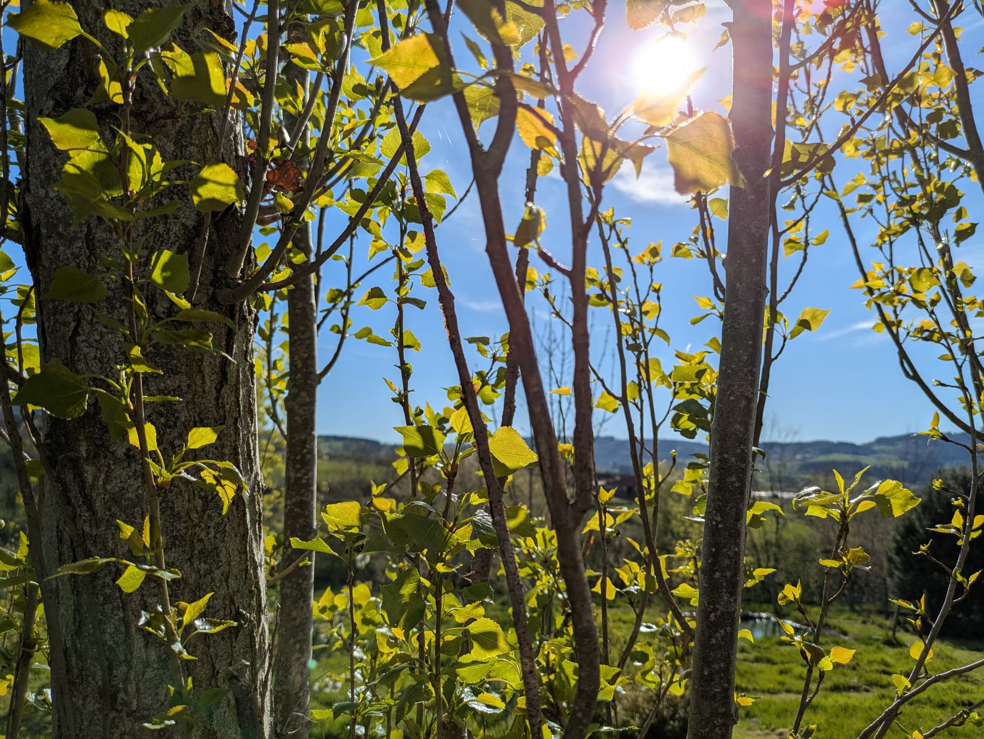 Tirage intuitif: avril 2026