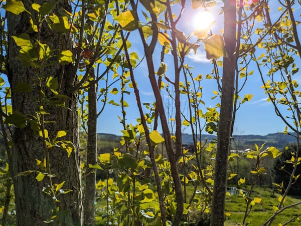 Tirage intuitif: avril 2026